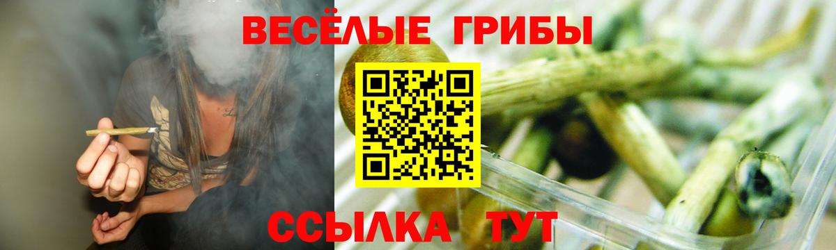 Черкесск  Галлюциногенные грибы MAGIC MUSHROOMS  Вход с VPN  Галлюциногенные грибы прущие грибы 